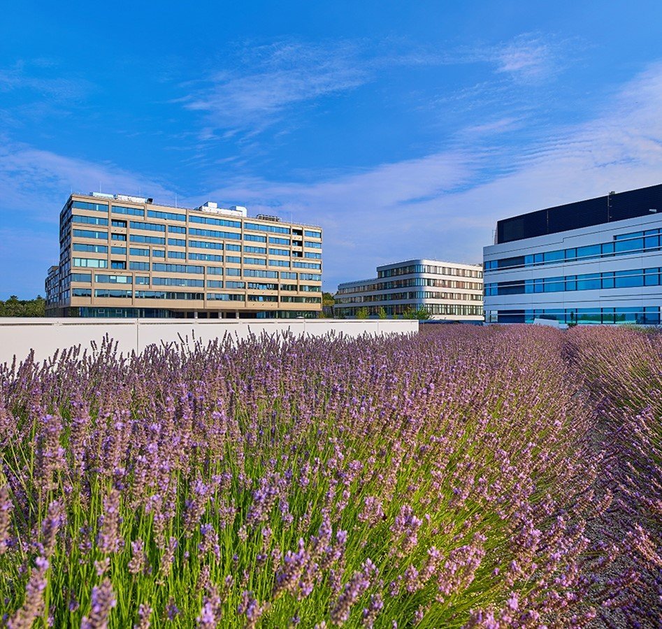 Optimierte Heizhydraulik für die Hochschule Campus Wien