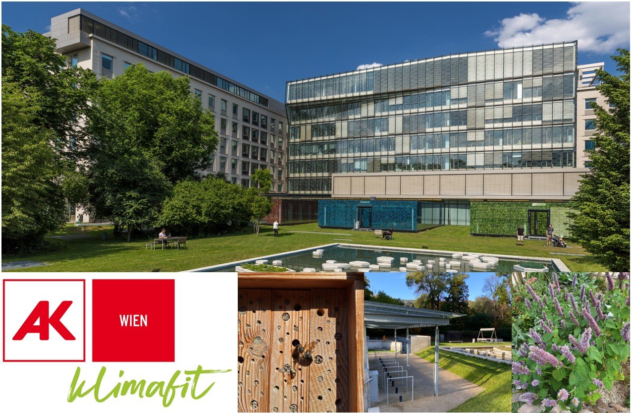 Titelbild zu Energie aus der Sonne & mehr: AK klimafit - ganzheitlicher Klimaschutz mit Photovoltaik, betrieblichem Mobilitätsmanagement, Stärkung der Biodiversitä
