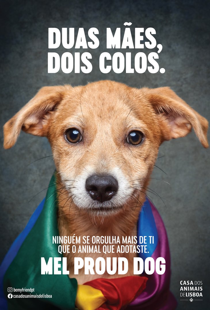 2_MelProudDog.jpg