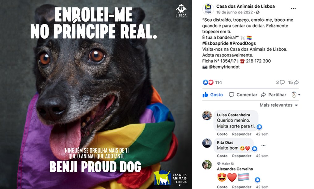4_BenjiProudDog.jpg