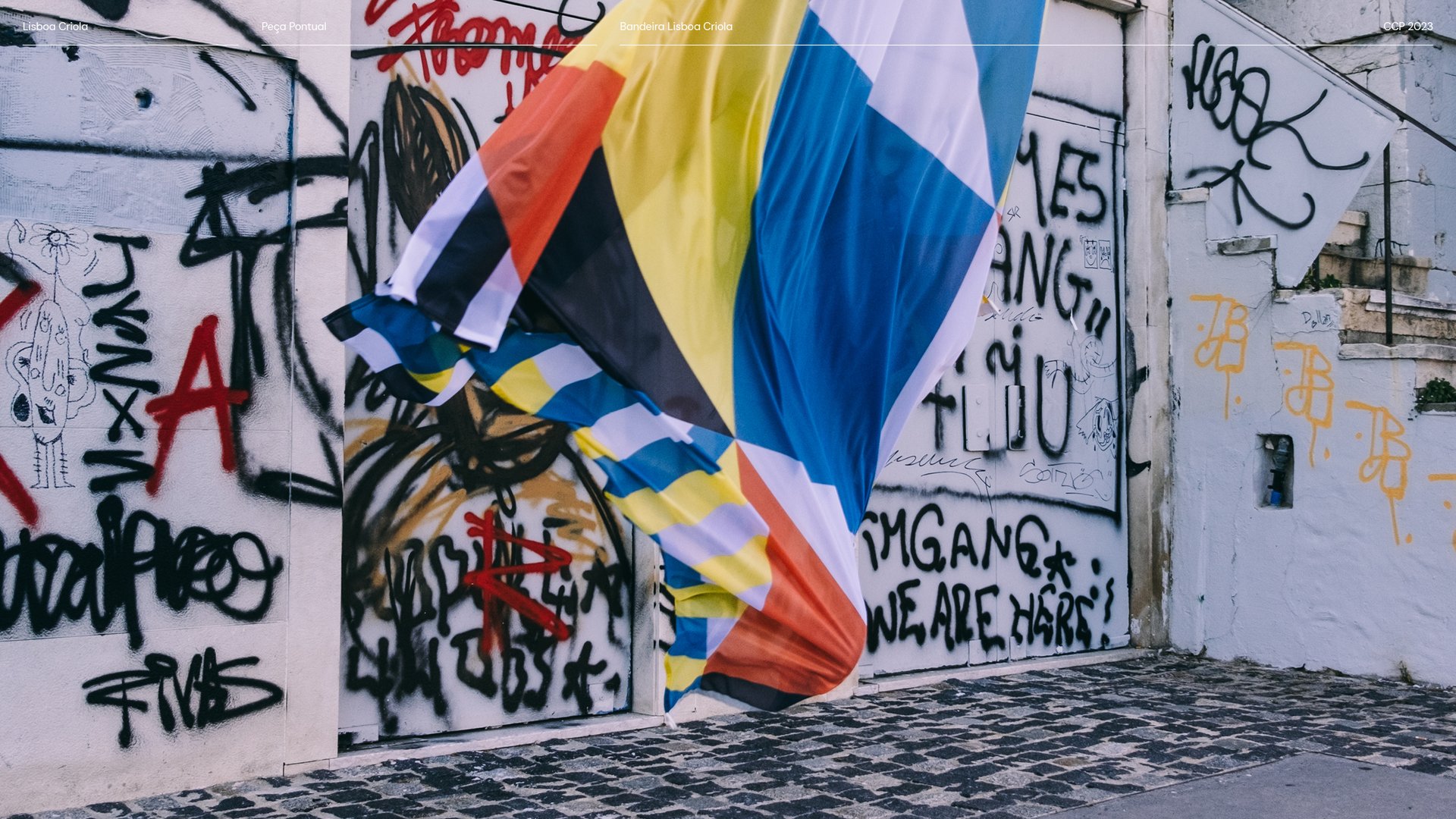 Boards CCP_LisboaCriola_PecaPontual_8.jpg