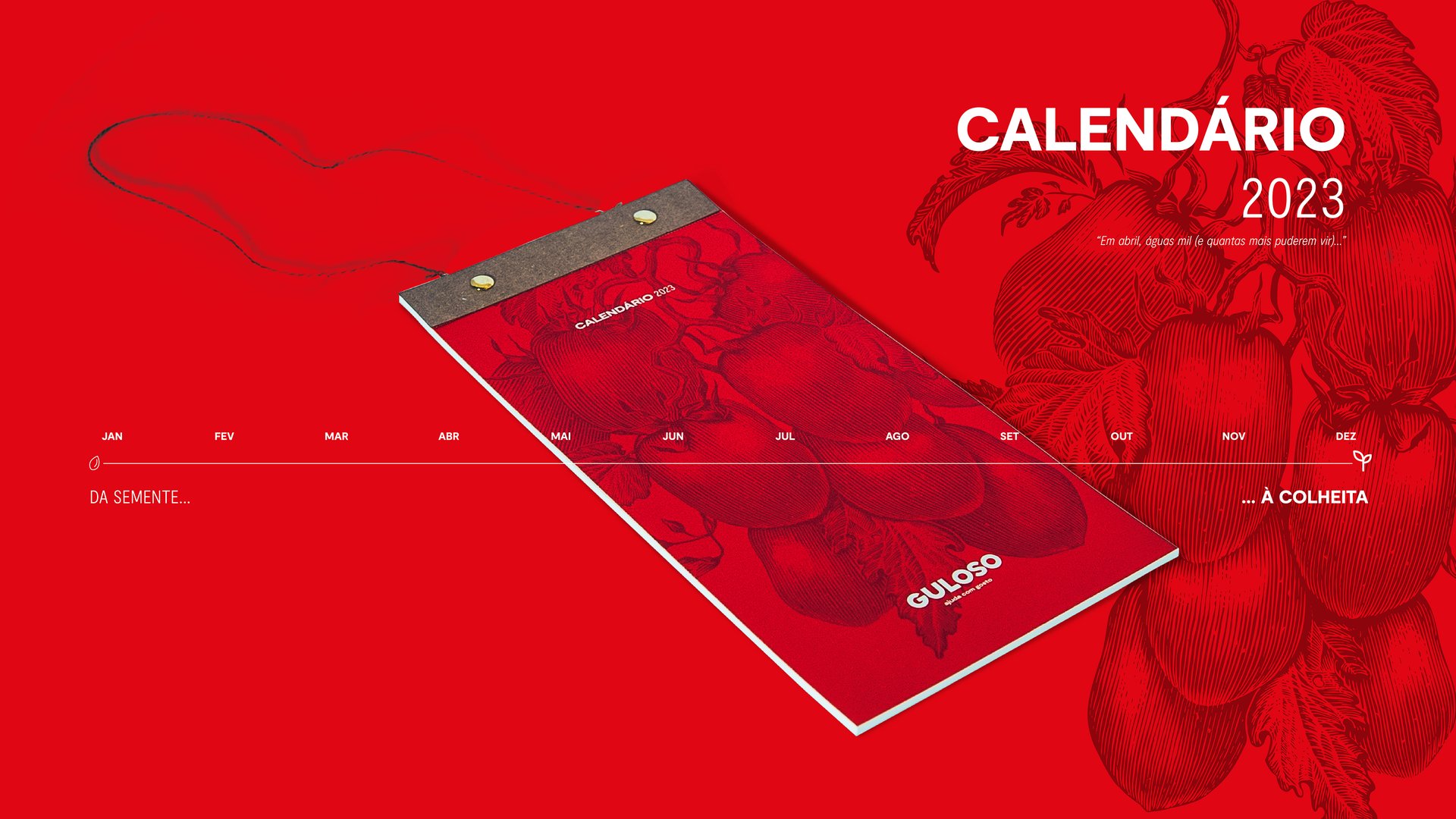 BOARDS_GULOSO_CALENDARIO-02.jpg
