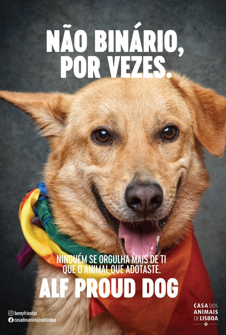 7_ALFProudDog.jpg