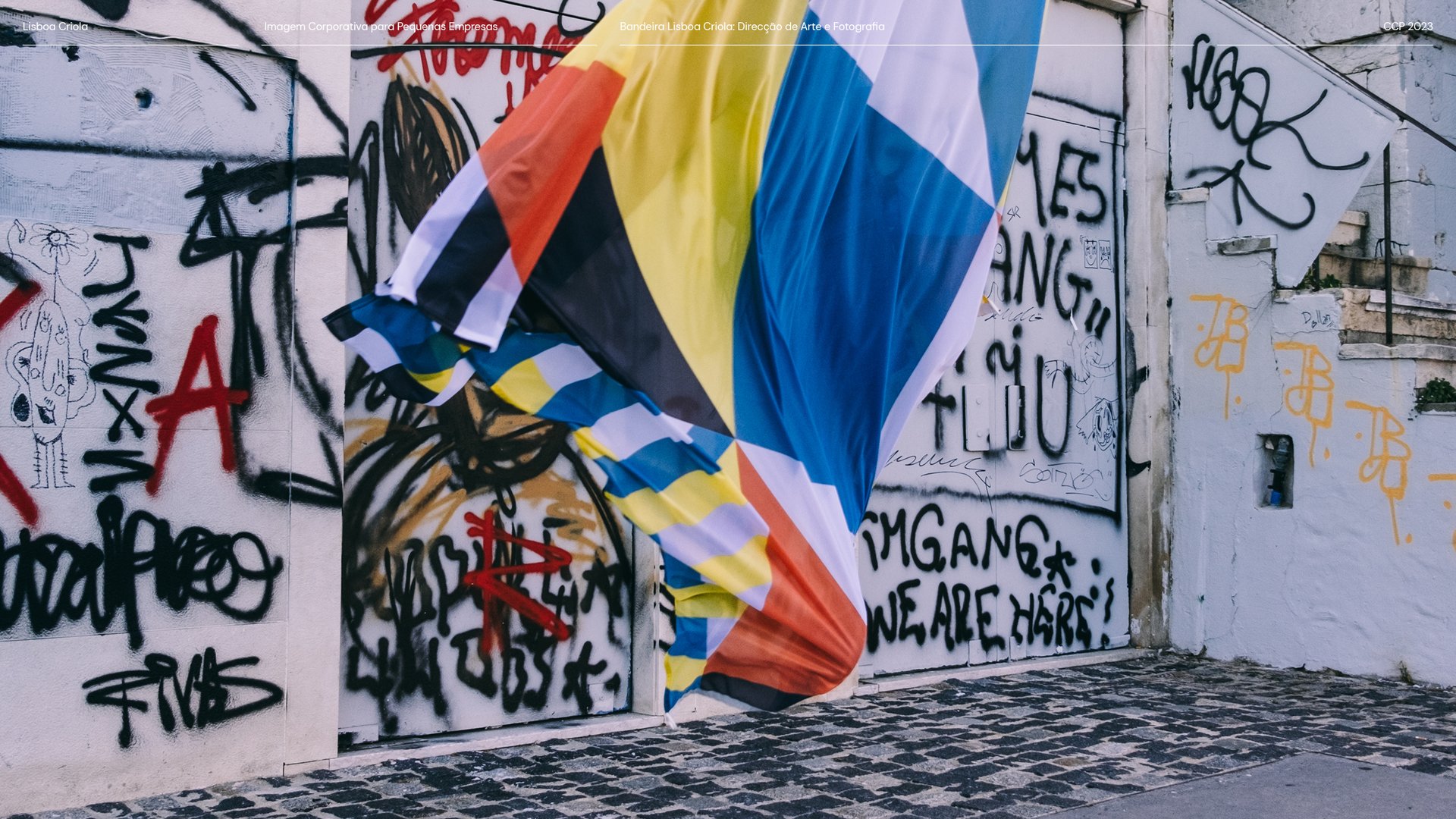 Boards CCP_LisboaCriola_19.jpg