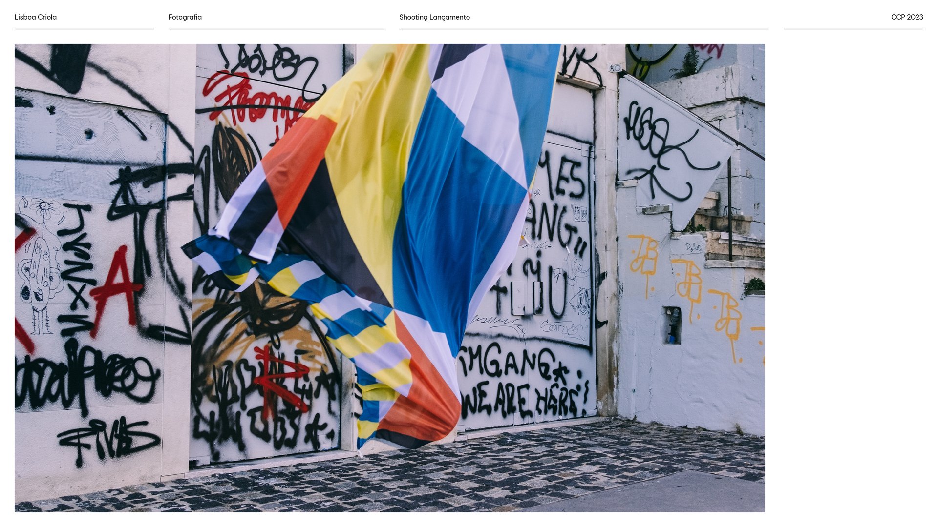 Boards CCP_LisboaCriola_Fotografia_10.jpg