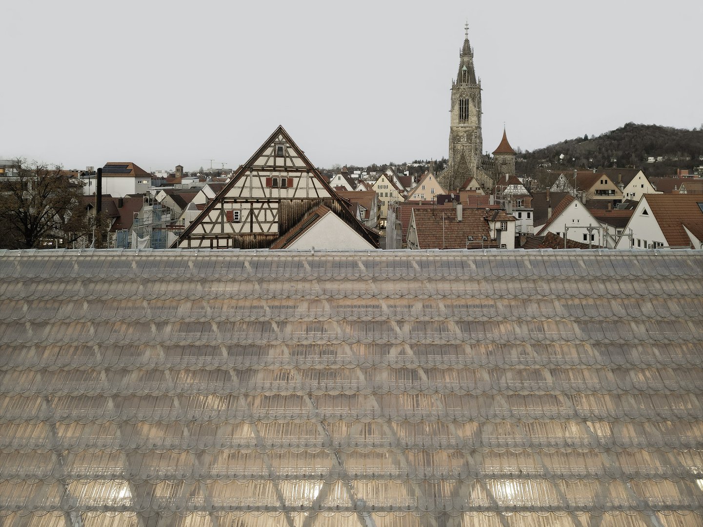 Museum_Oberamteistraße_251119003© Brigida González für wulf architekten.jpg