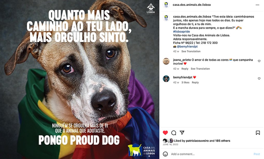 1_PongoProudDog.jpg