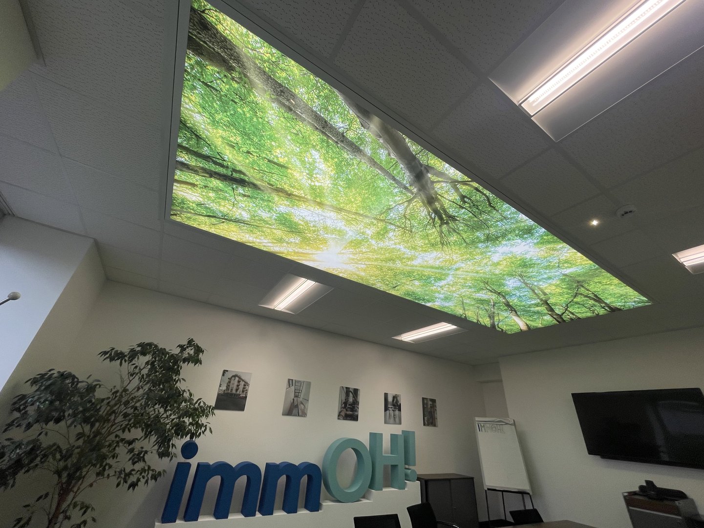 Titelbild zu Nachhaltig Energiesparen mit LED-Beleuchtung