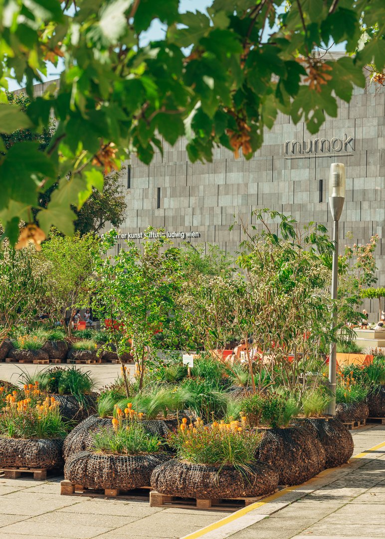 MQ-Hofbegrünung-C-MQ-Klaus-Pichler-2-.jpg