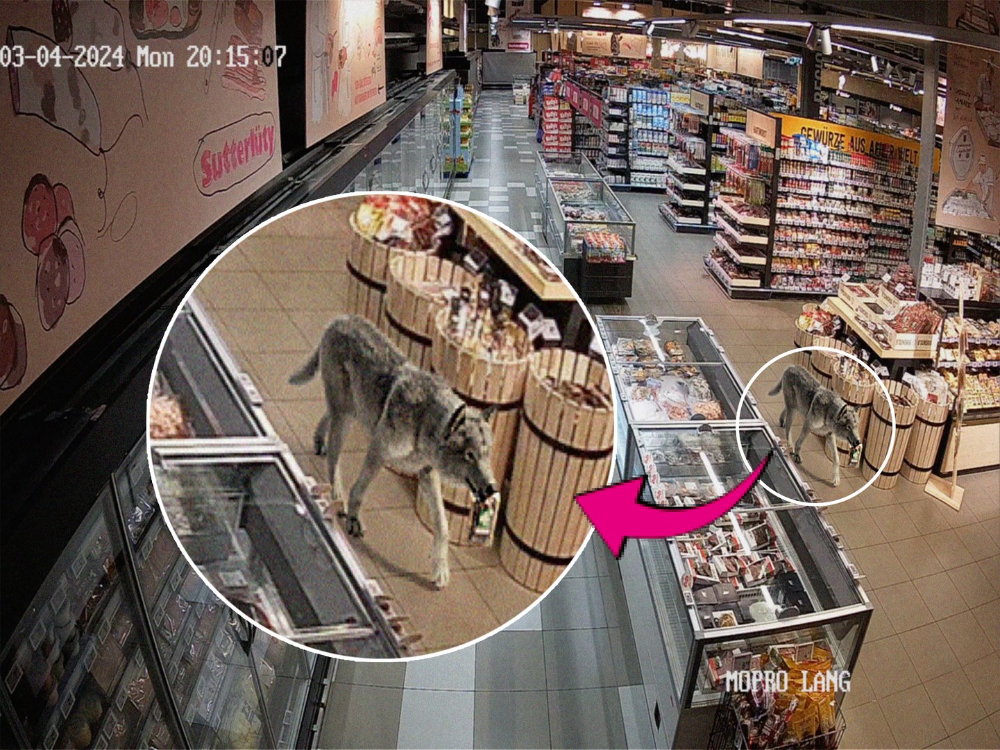 Titelbild zu Sutterlüty – Fake News