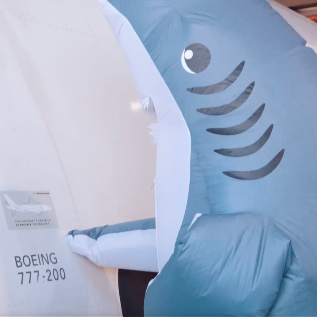 Sharky-1080x1080-01.jpg