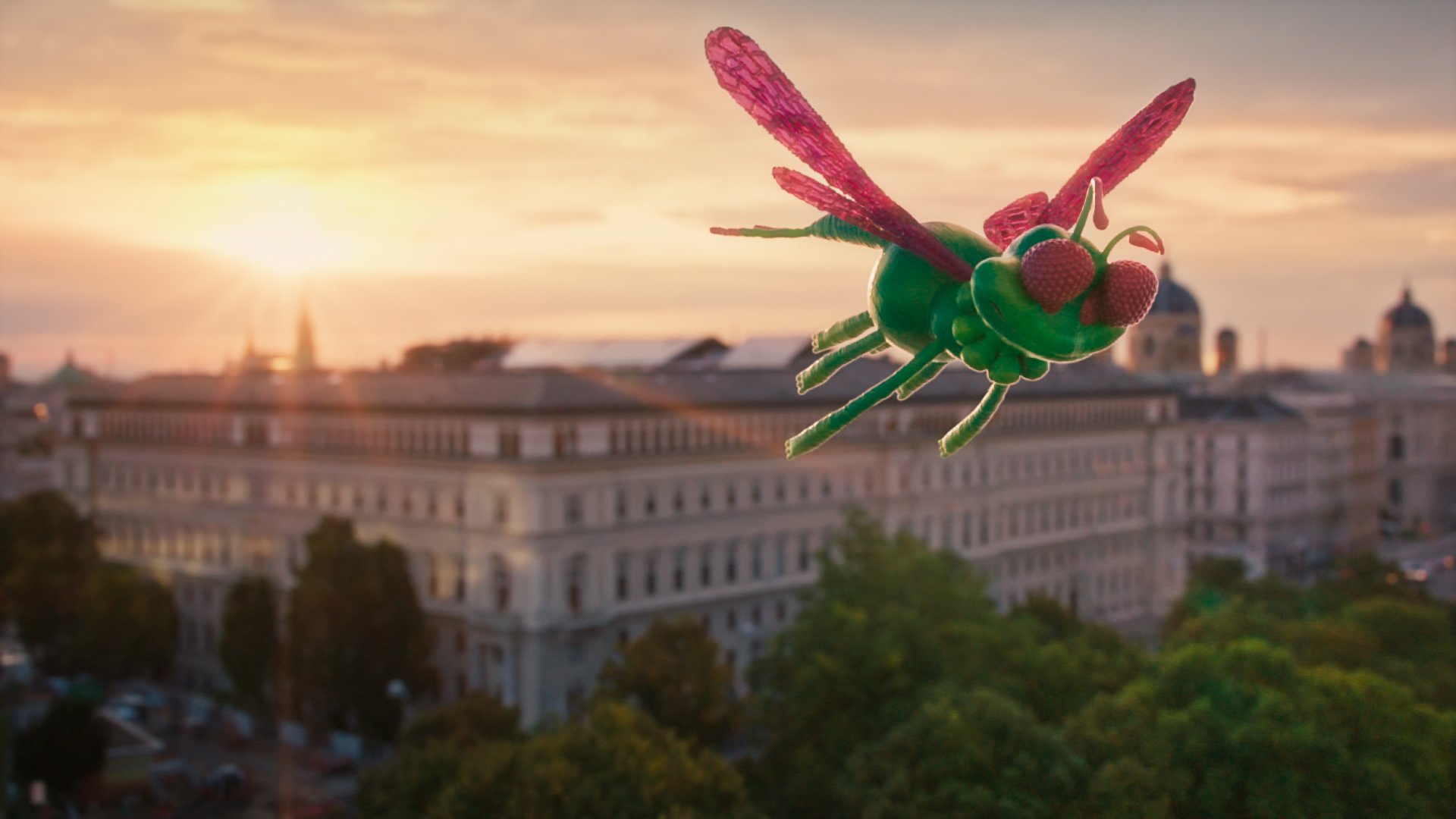 mayfly-image1.jpg