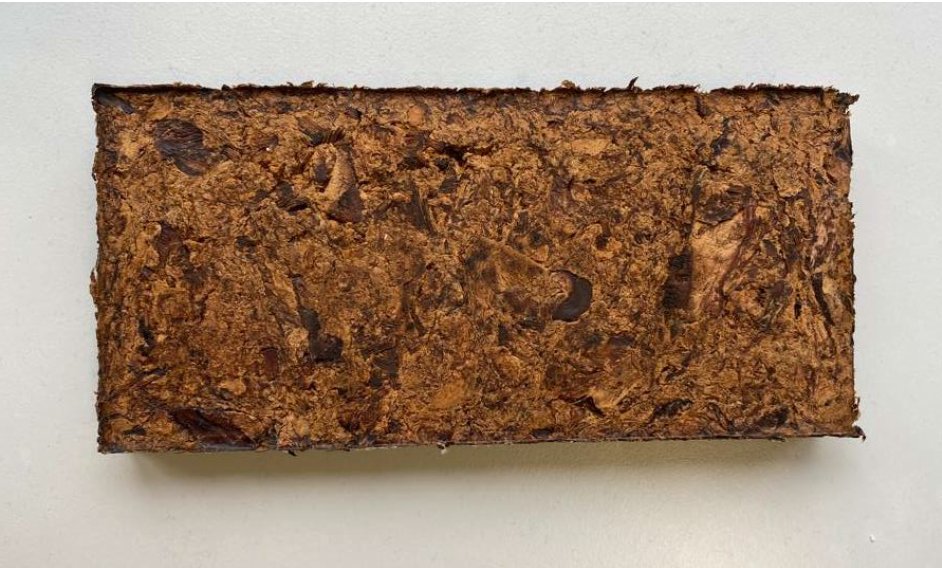 Nachhaltiges Dämmmaterial aus Pilzen