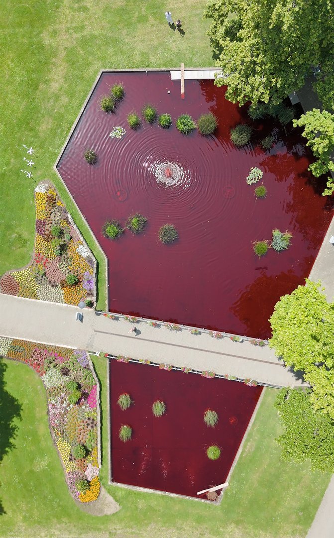 Titelbild zu Ein Roter Teich zum Weltblutspendetag