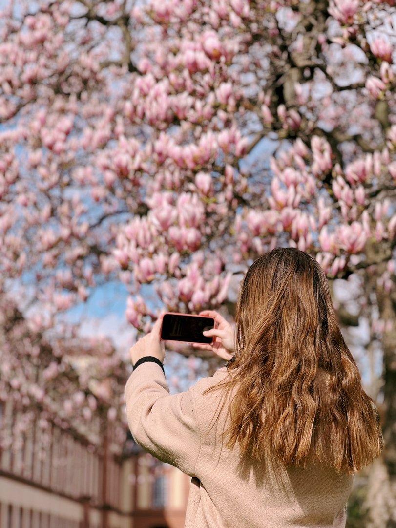 Frühling auf dem Campus