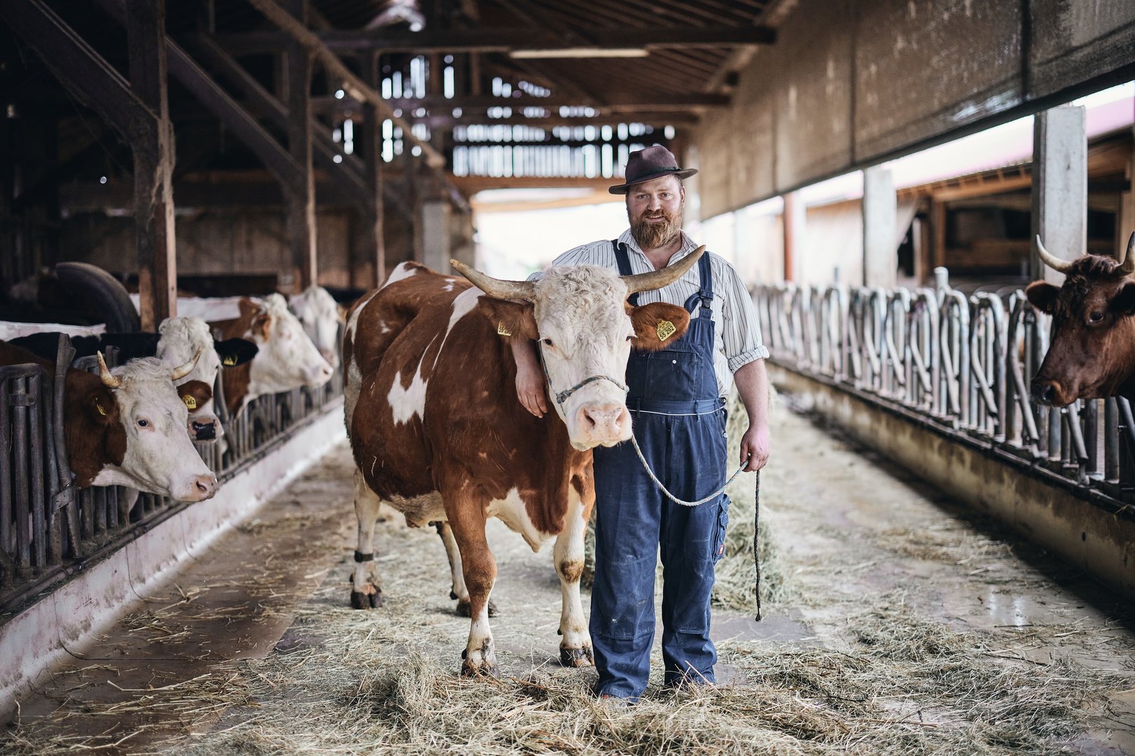Bayerischer Heumilchbauer