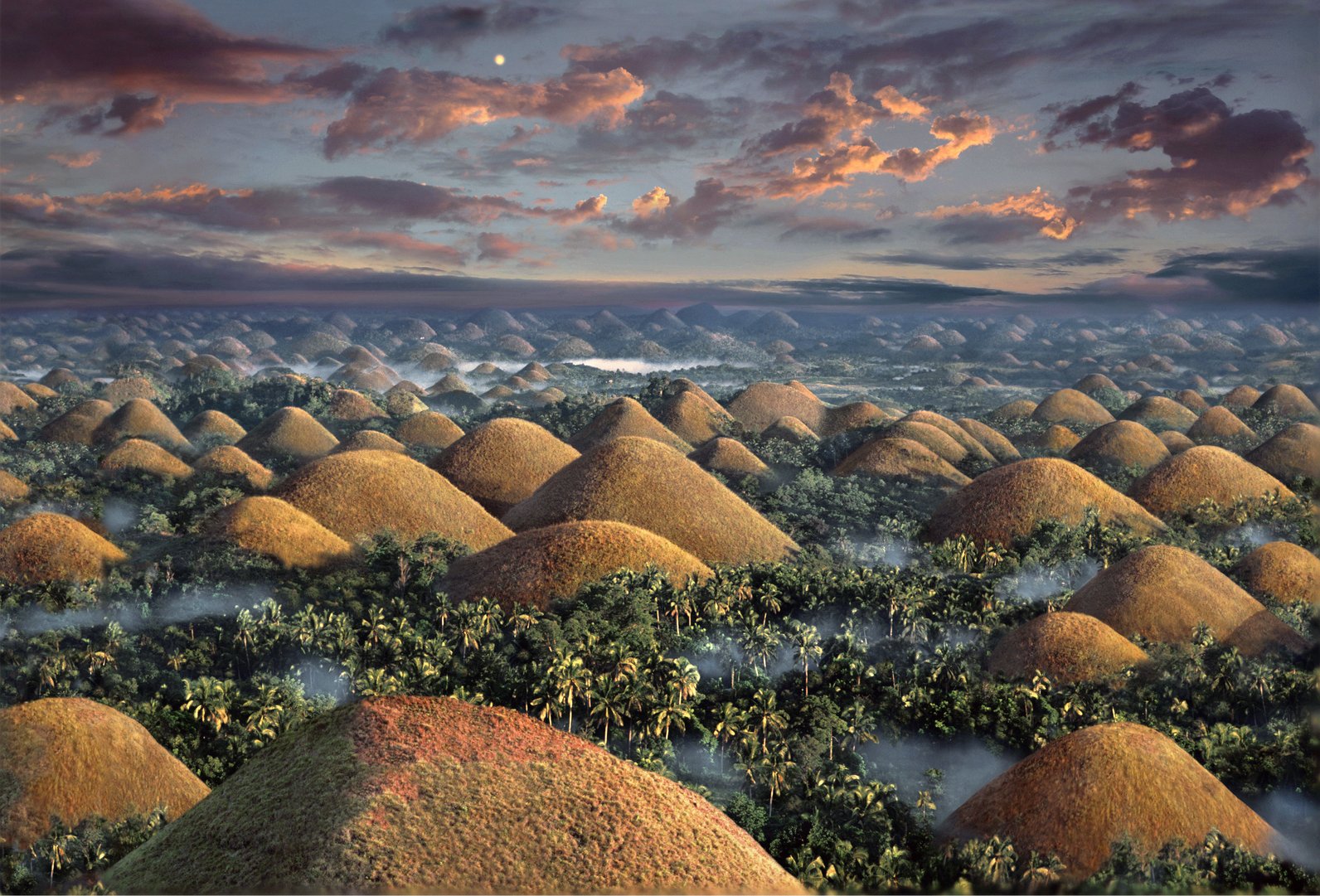 Die "Chocolate Hills"