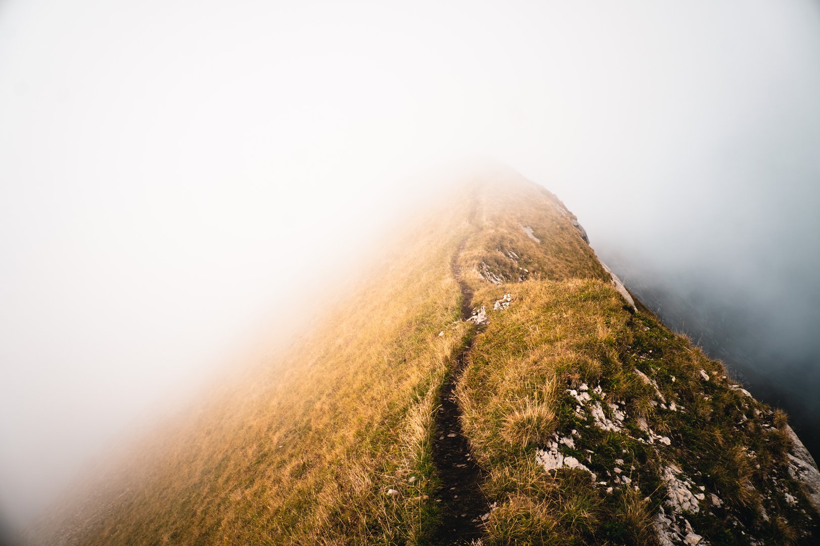 Titelbild zu Weg ins Ungewisse