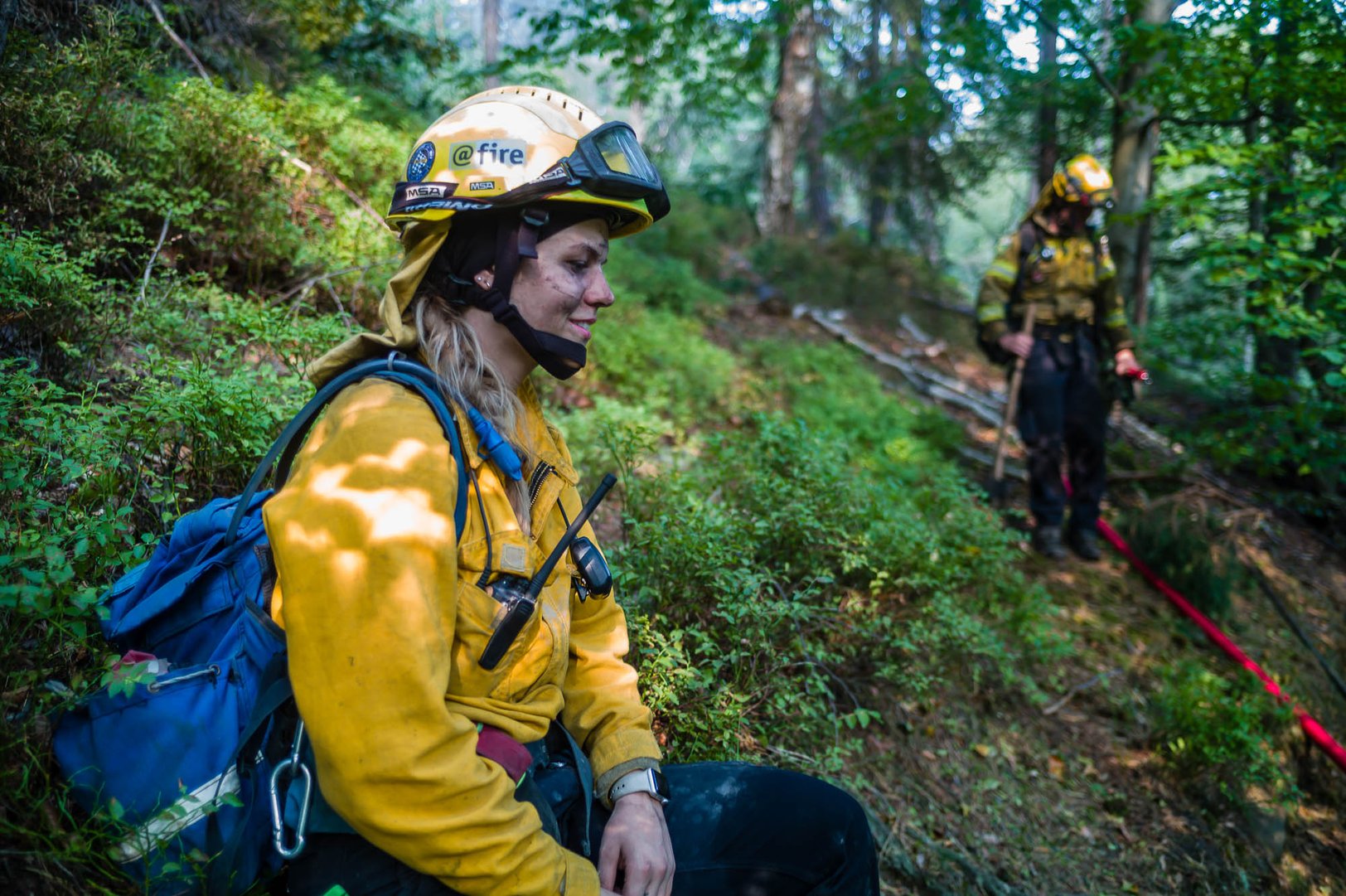 Fighting the forest fire