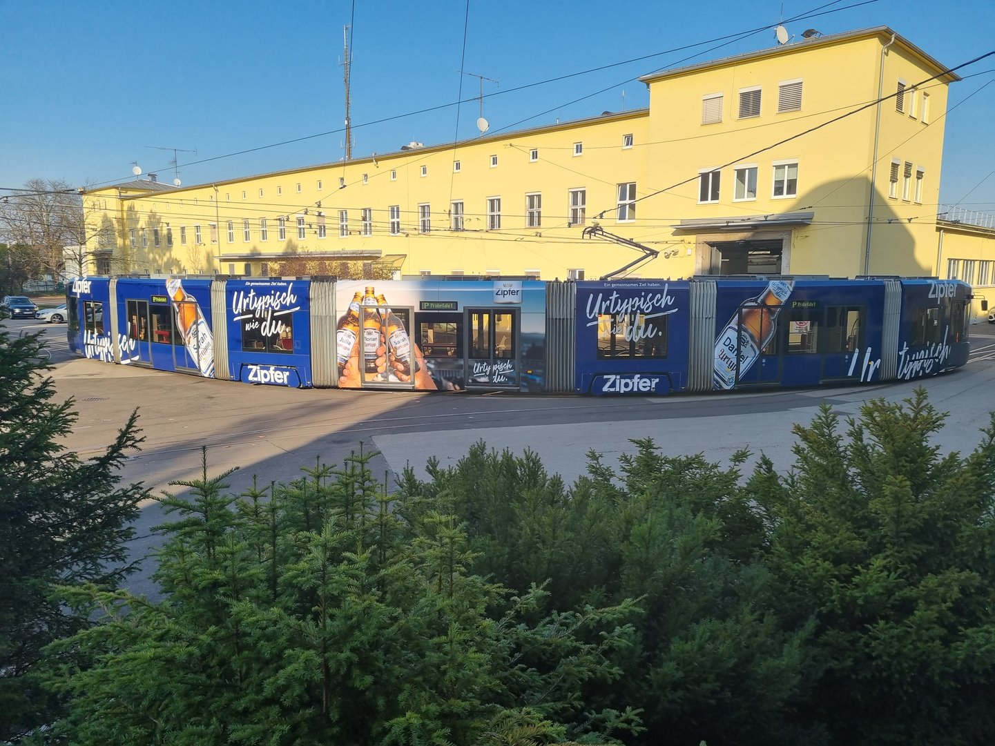 Zipfer Urtypisch wie Du