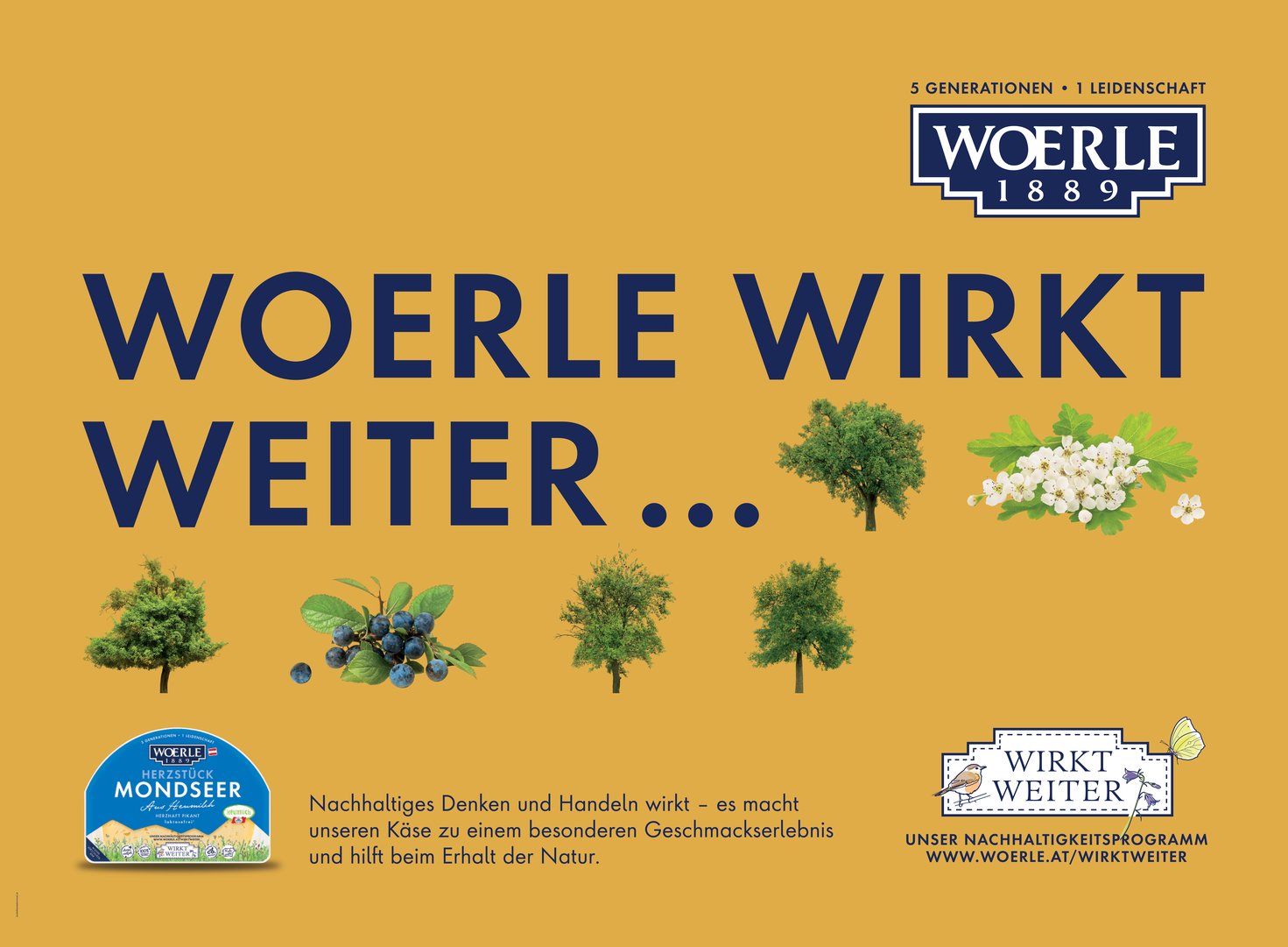 WOE-Rollingboard-WirktWeiter-01-3140x2310jpg.jpg