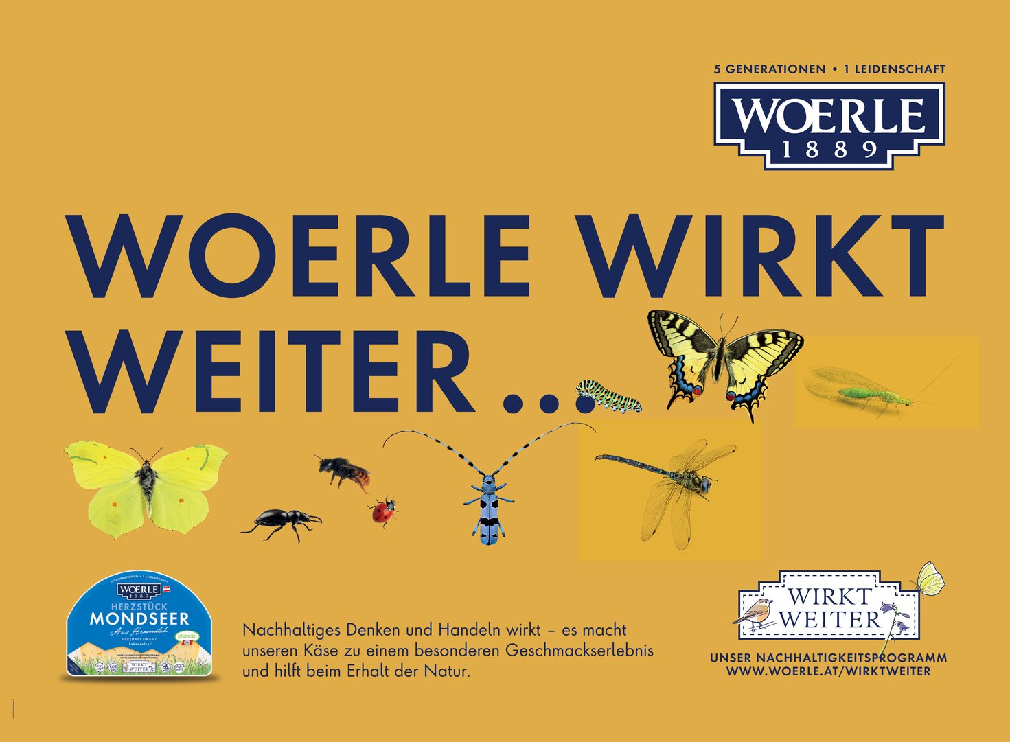 WOE-Rollingboard-WirktWeiter-03-3140x2310.jpg