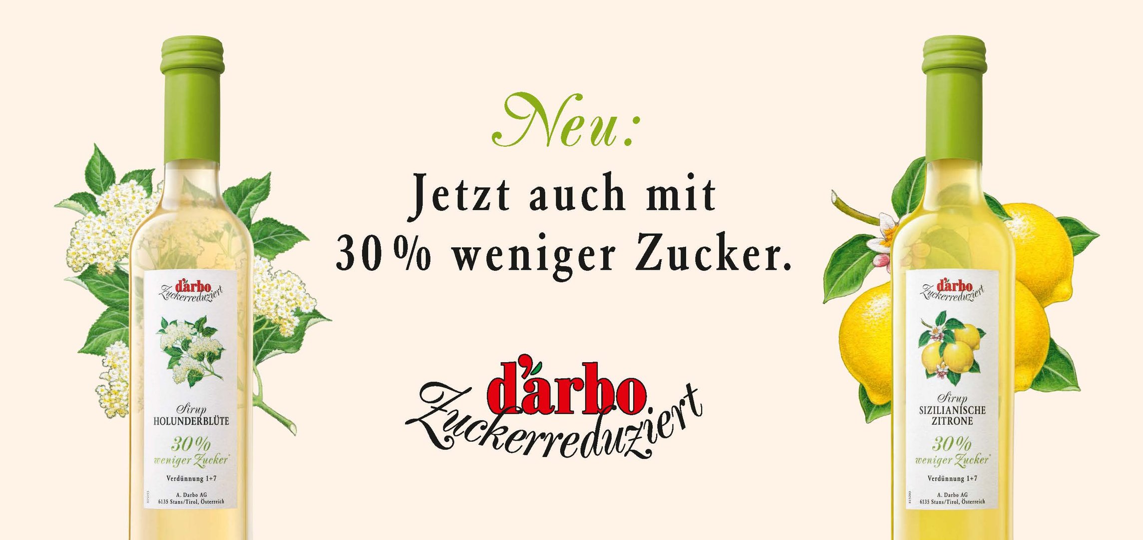 Darbo Sirup 2022