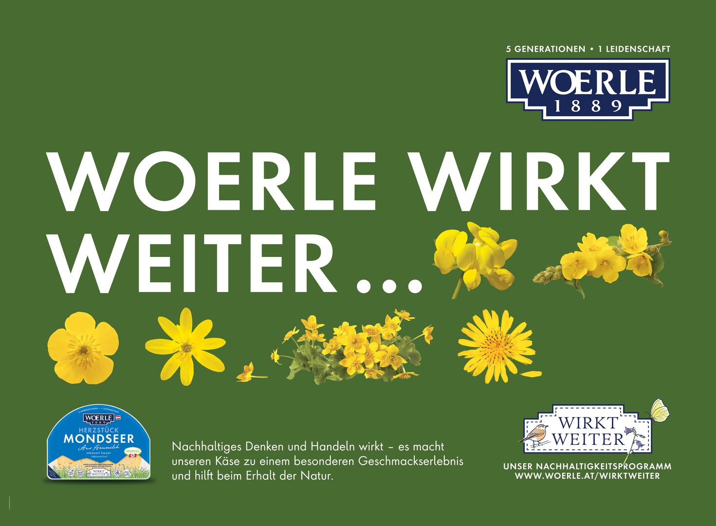 WOE-Rollingboard-WirktWeiter-02-3140x2310.jpg