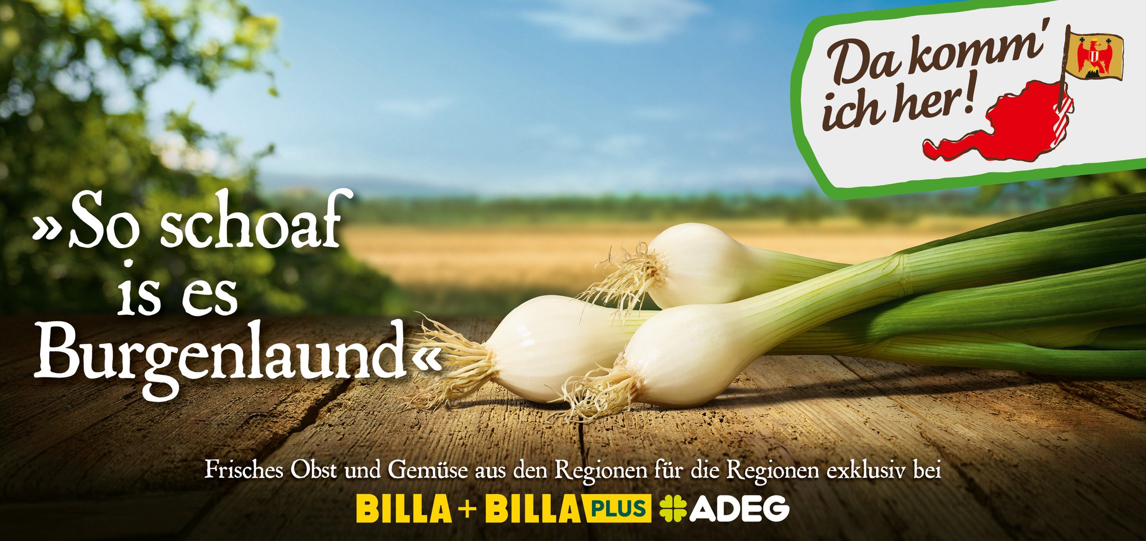 DKIH-Kampagne-OOH-Award2.jpg