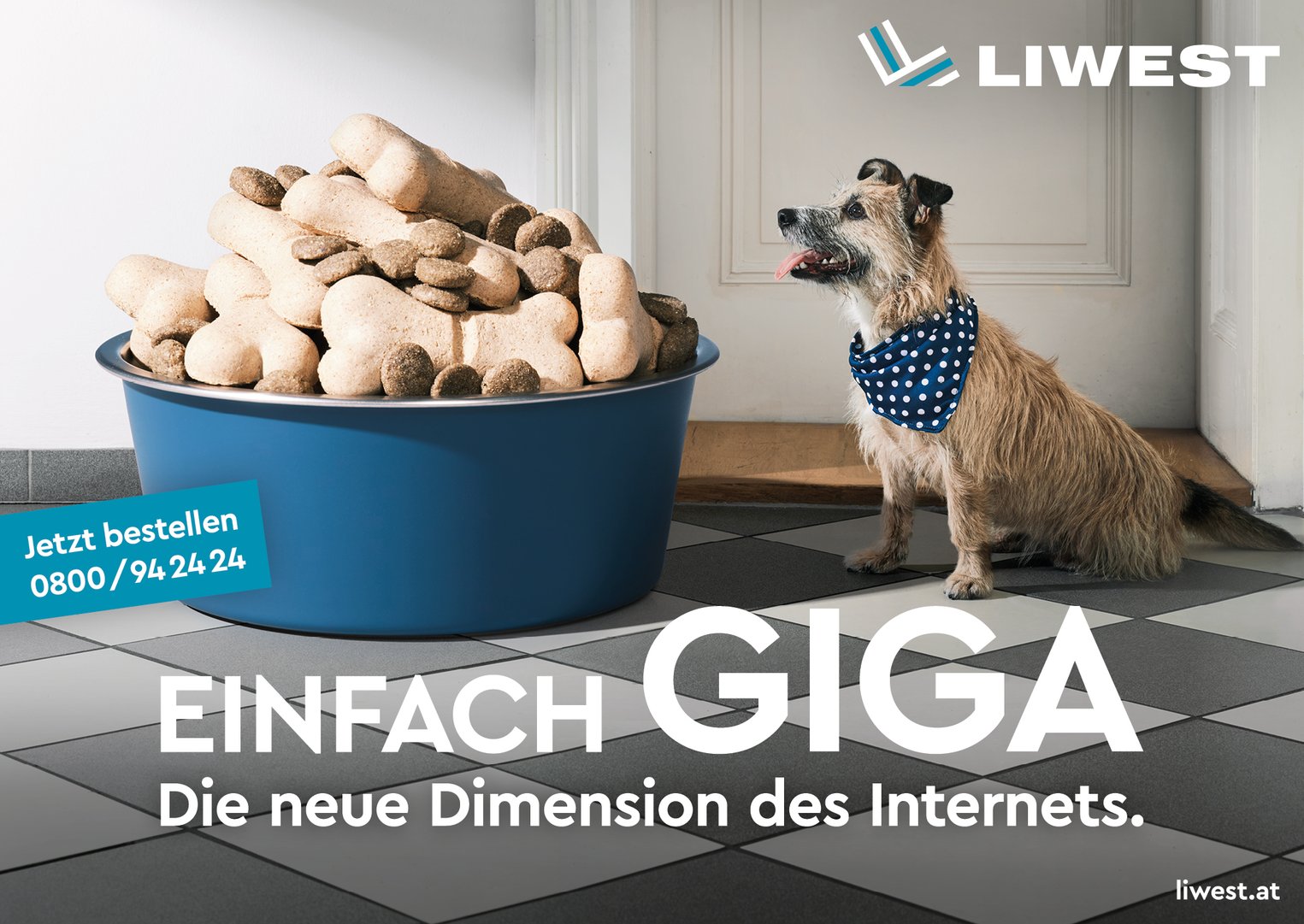 Liwest-Gigabit-16BG2.jpg