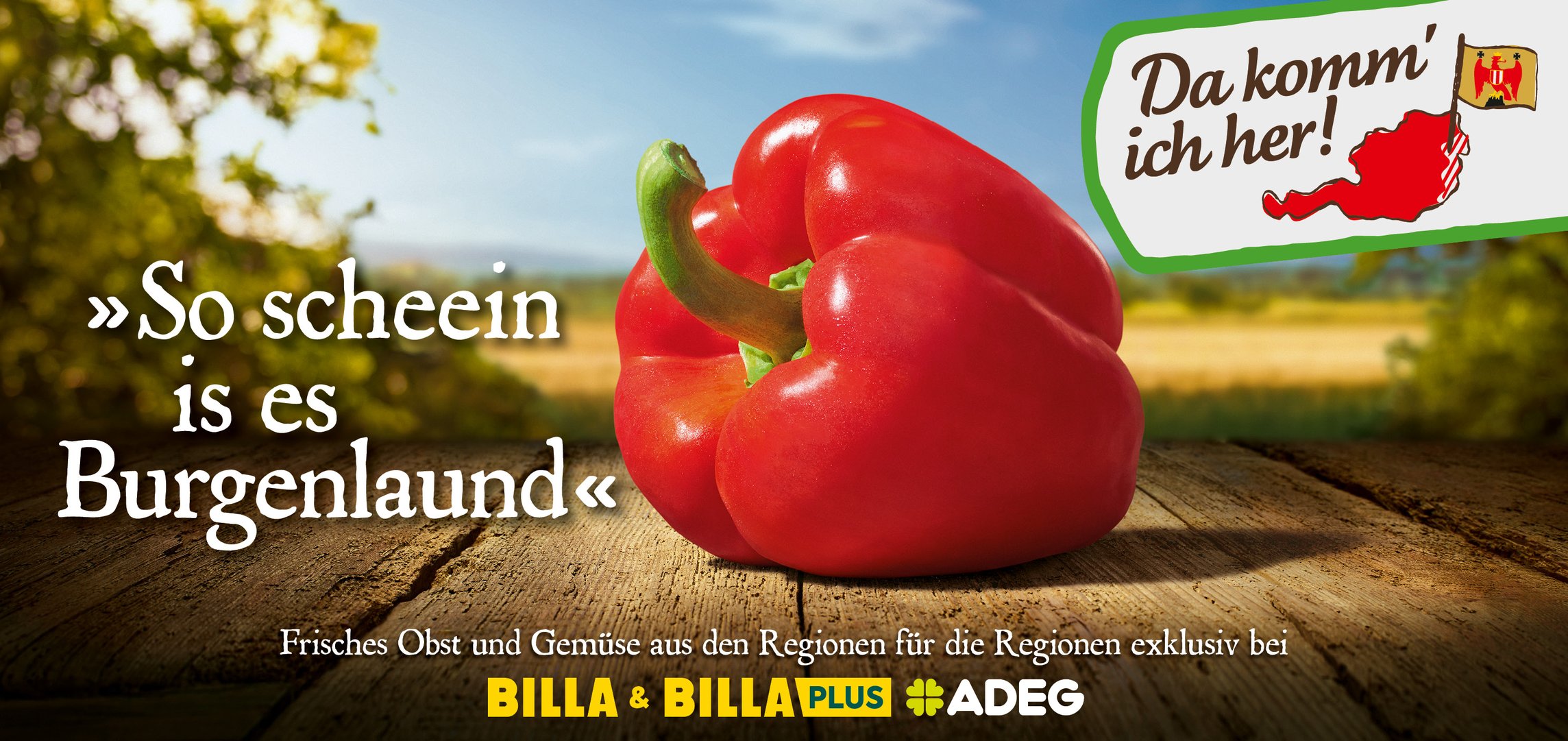 DKIH-Kampagne-OOH-Award12.jpg