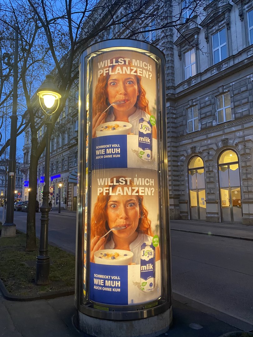 City-Light-2-Schottentor.jpg