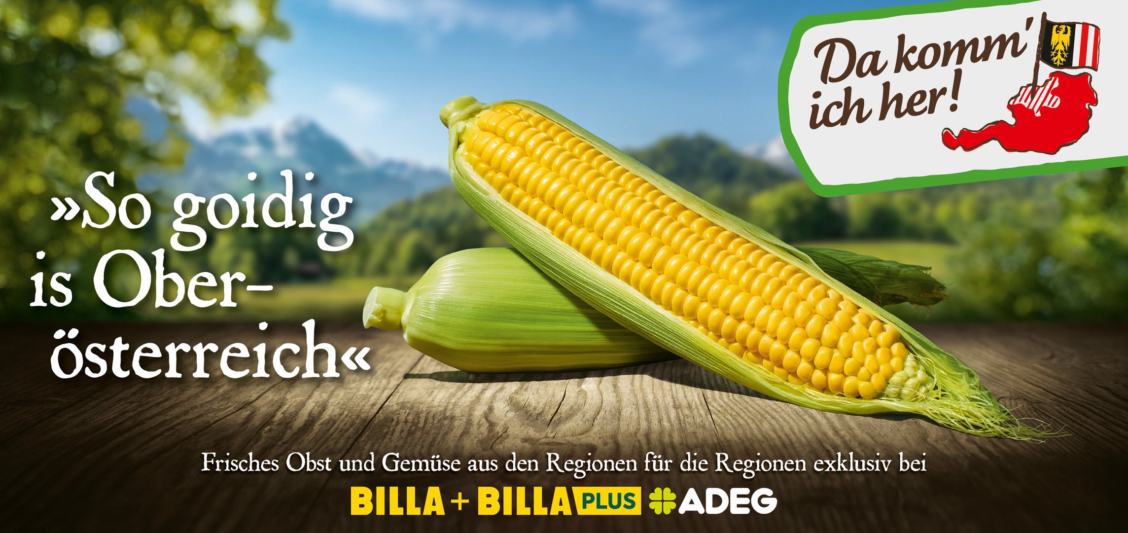 DKIH-Kampagne-OOH-Award3.jpg