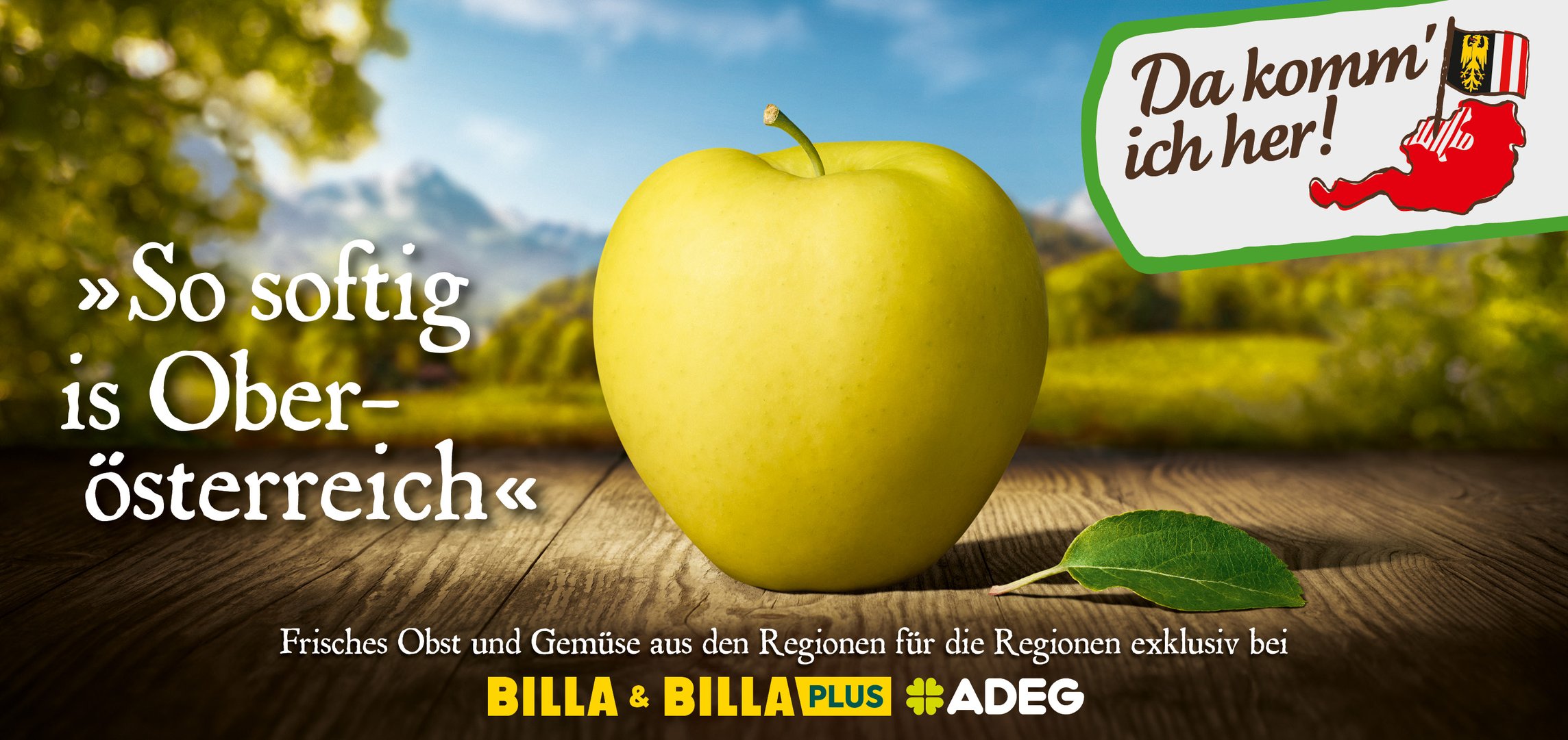 DKIH-Kampagne-OOH-Award9.jpg