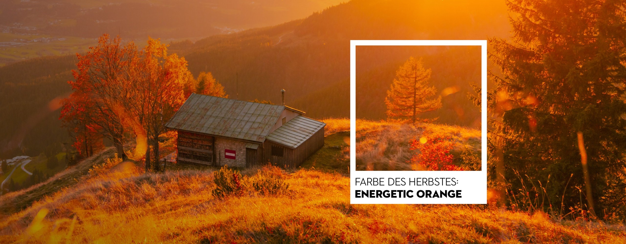 Farben des Herbstes - Herbstkampagne Tourismusverband Wilder Kaiser