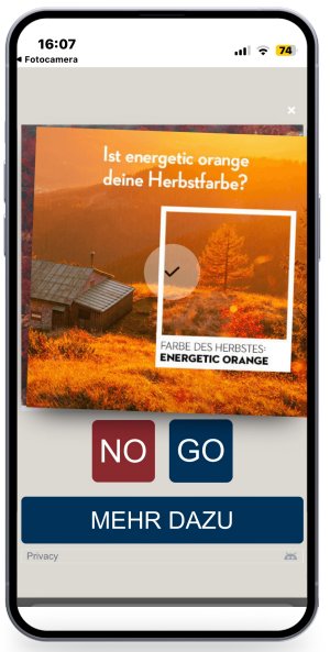 Mobile-Full-Screen-Ad.PNG