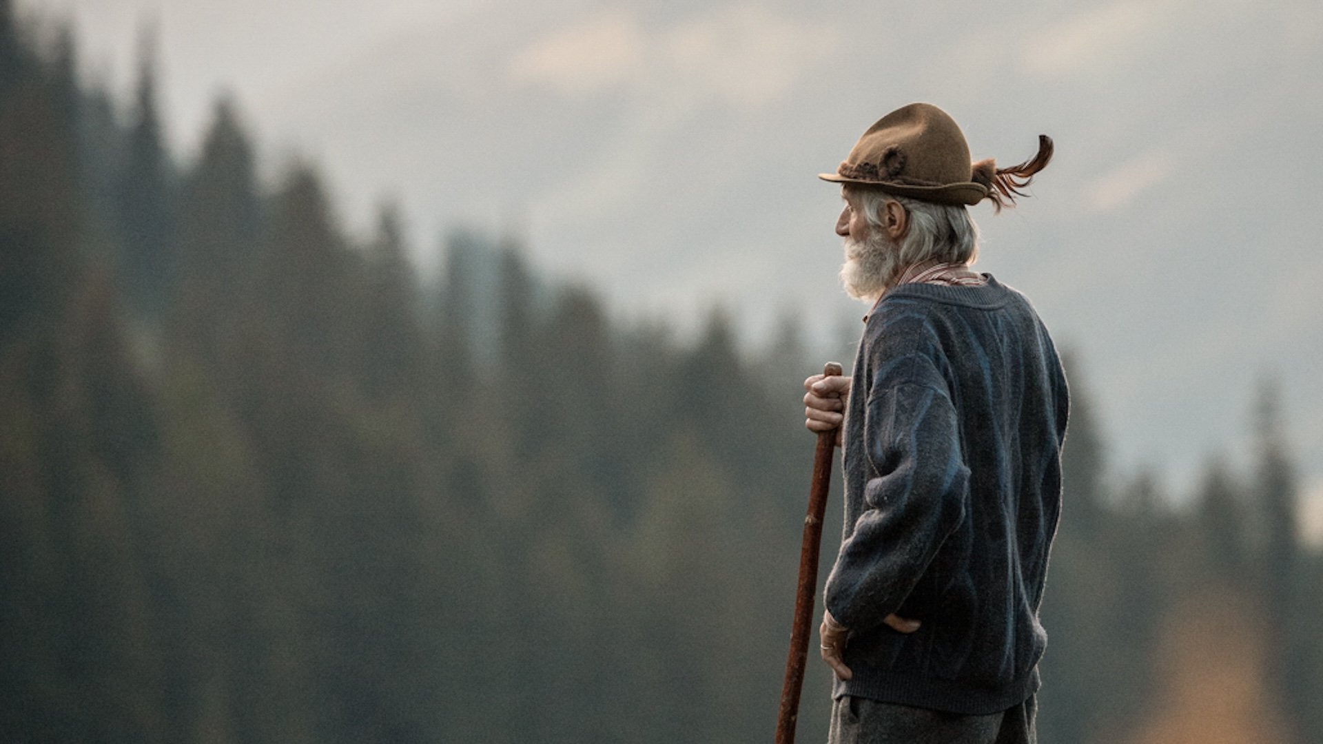 Alpbachtal - Frühlingserwachen