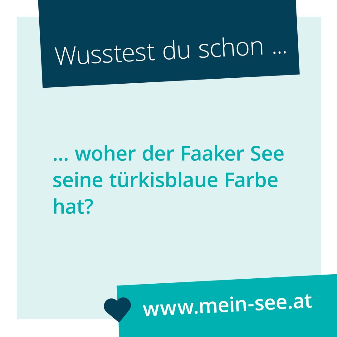 Social-Media-meinSEE-Wusstest2.jpg