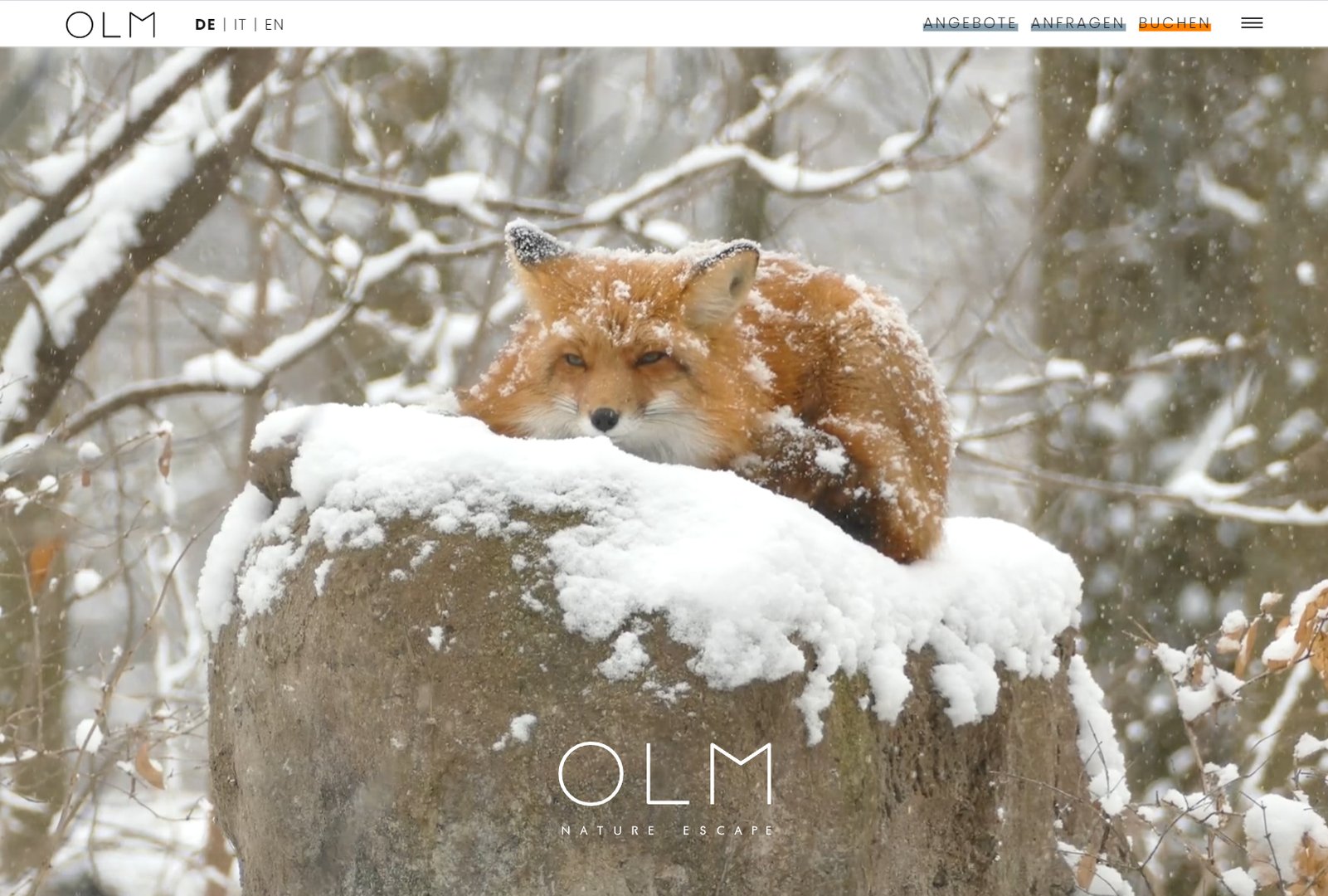 SiMedia - Website-Projekt OLM Nature Escape