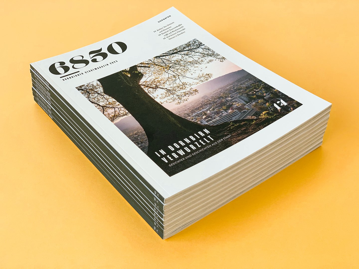 6850 Stadtmagazin Dornbirn #14
