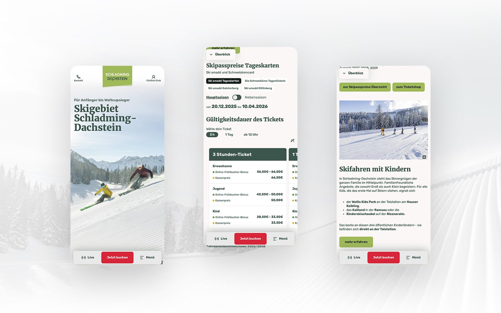 valantic-Austria-Schladming-Dachstein-9-.jpg