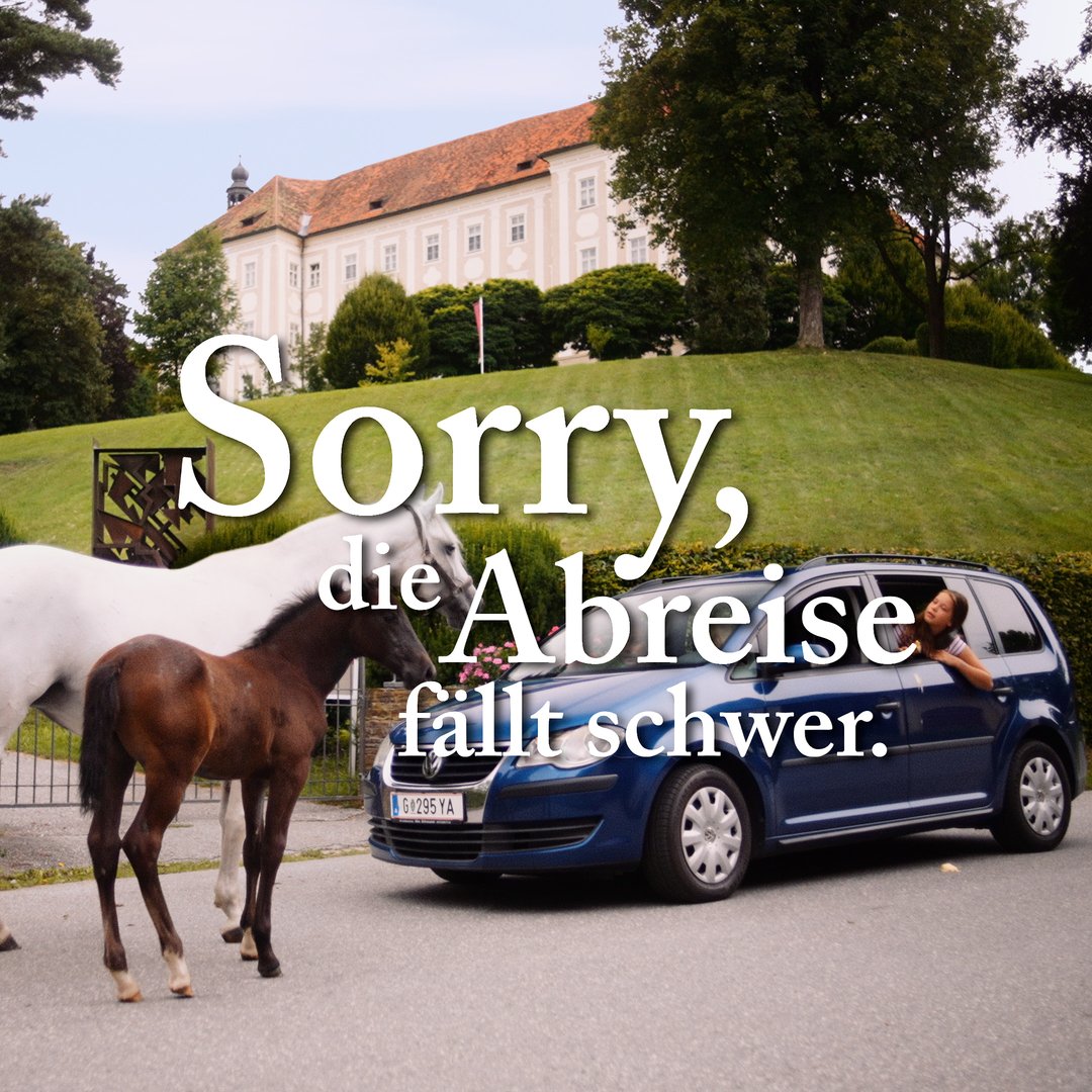 PR476B5-Lipizzaner-WEB-Welt-1-1-master-v1.00-00-13-11.Standbild001.jpg