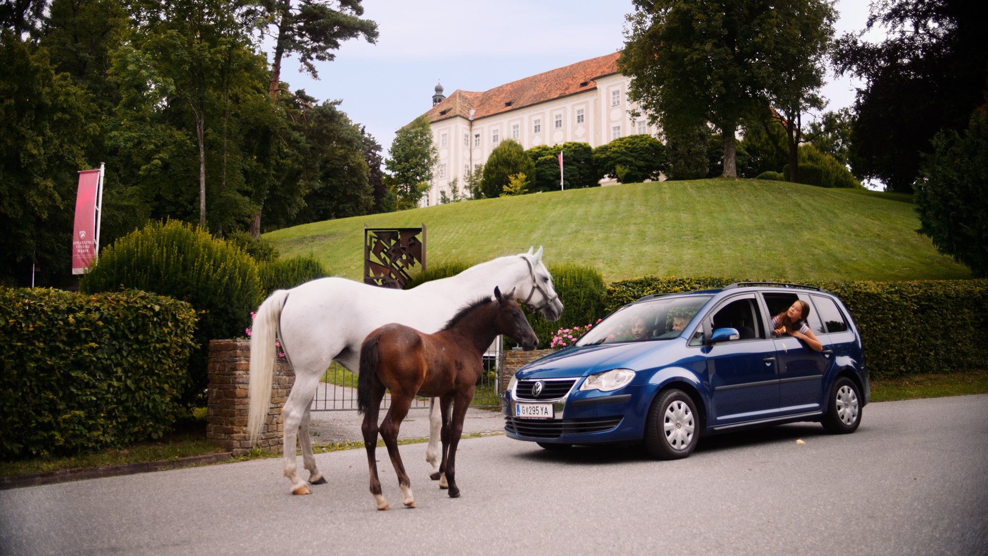 PR476B1-Lipizzaner-TV-EU-master-v1.00-00-13-11.Standbild002.jpg