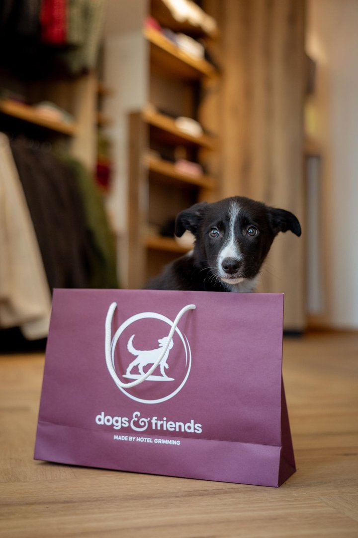 Das Hotel Grimming für Zuhause - Für Dogs. Für Friends. Für Euch.   - Marketingkampagne und Entwicklung der Submarke dogs&friends made by Hotel Grimmi