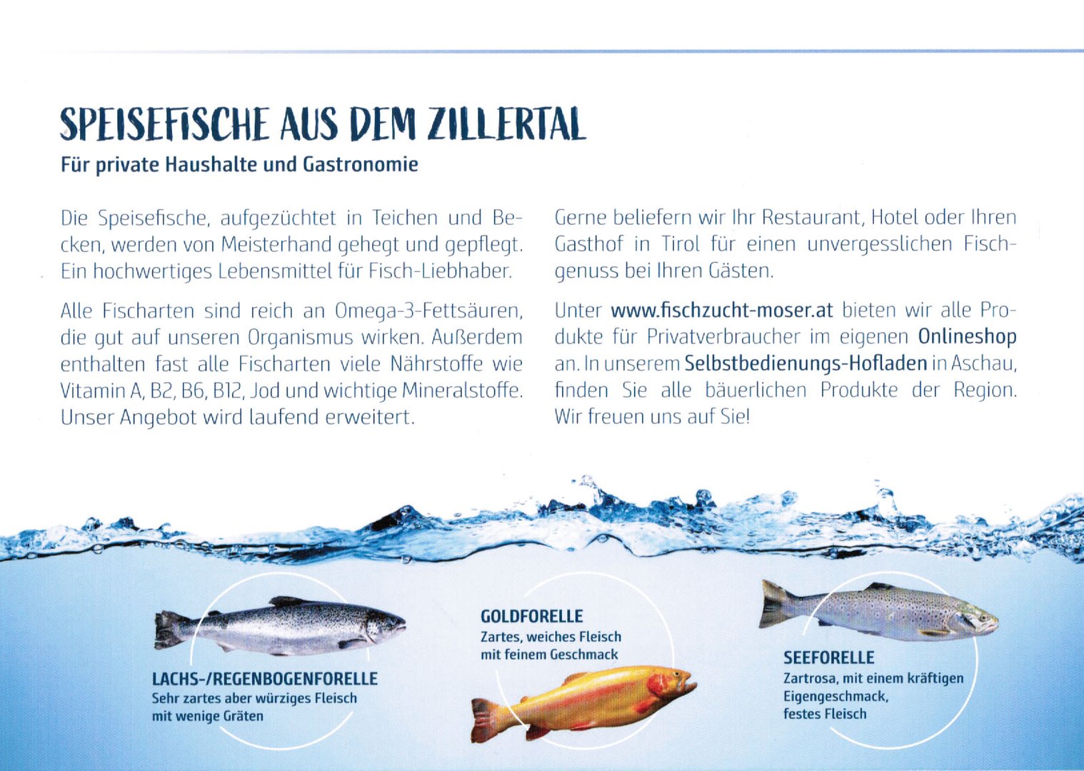Fischzucht-Moser-1.jpg