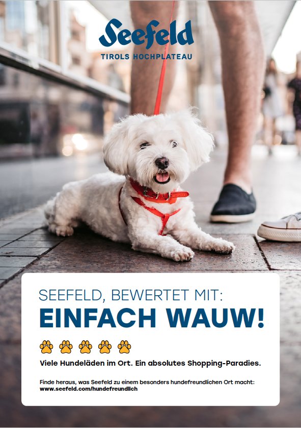 Seefeld-Hunde-Shopping.png