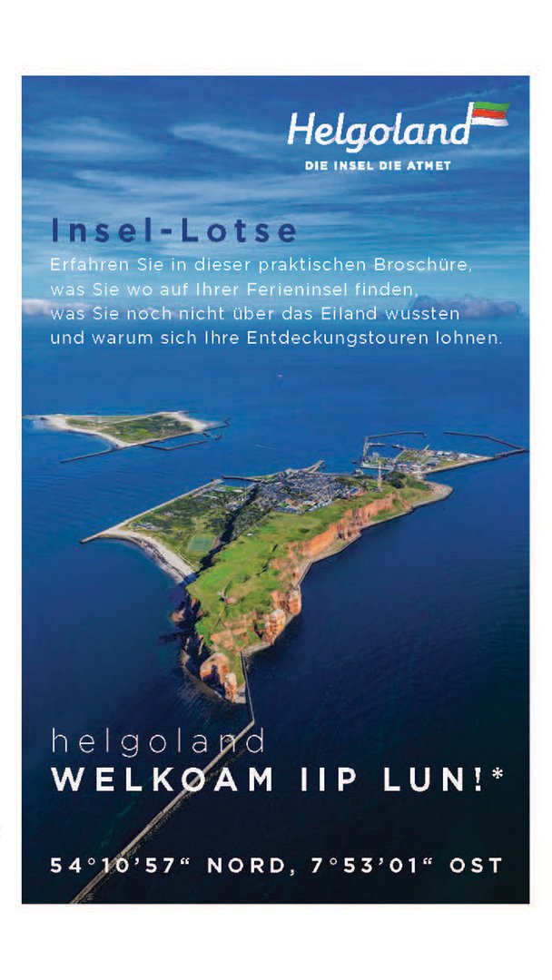 Insel-Lotse
