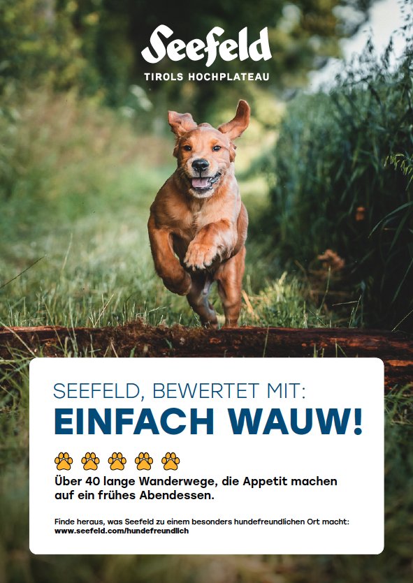 Seefeld-Hunde-Wandern.png