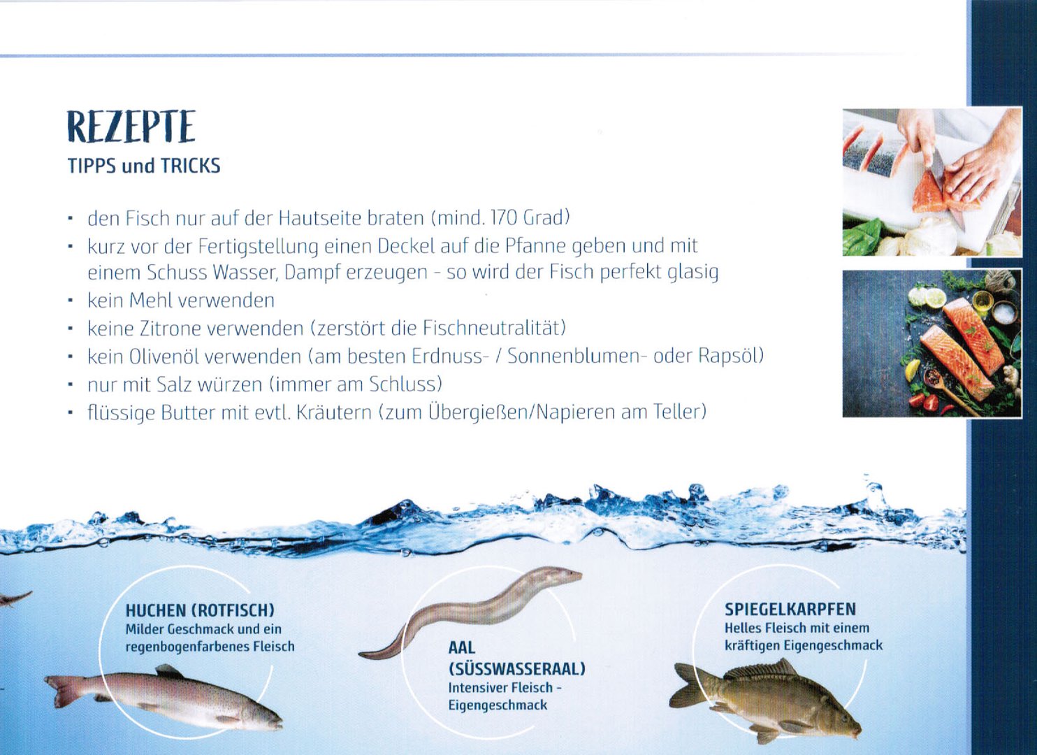 Fischzucht-Moser-3.jpg