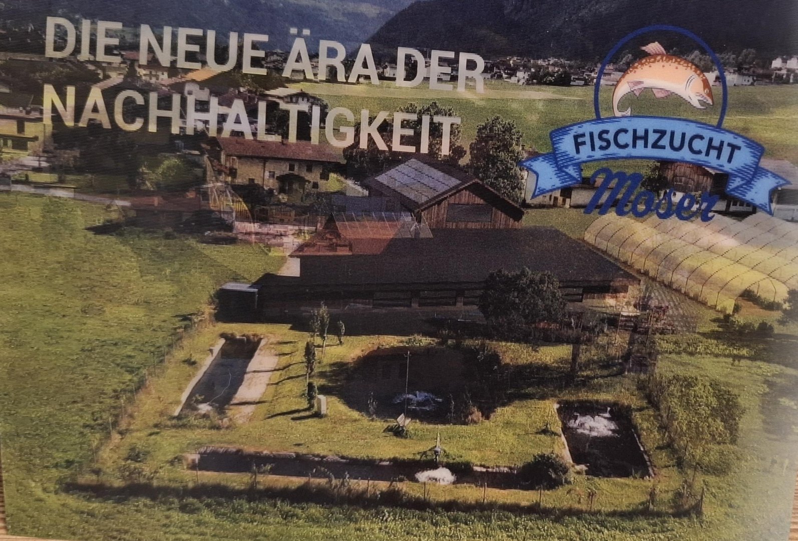 20250120-142410.jpg